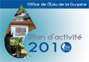 Rapport d activite OEG 2010 1